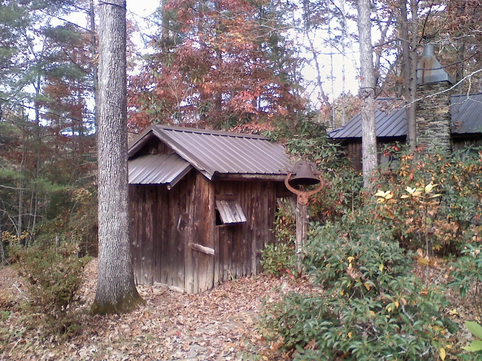 Small metal roof on a rough sawn shed in the woods in Acton